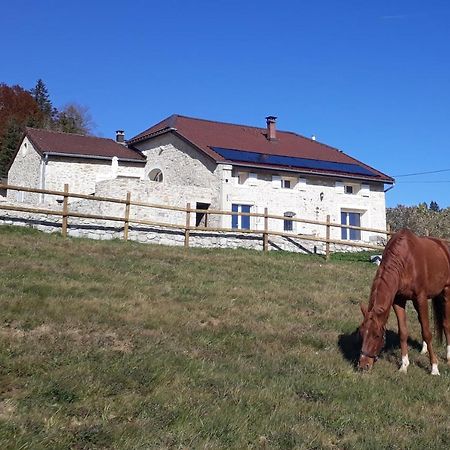 Gite Des 3 Marches Lamoura Εξωτερικό φωτογραφία